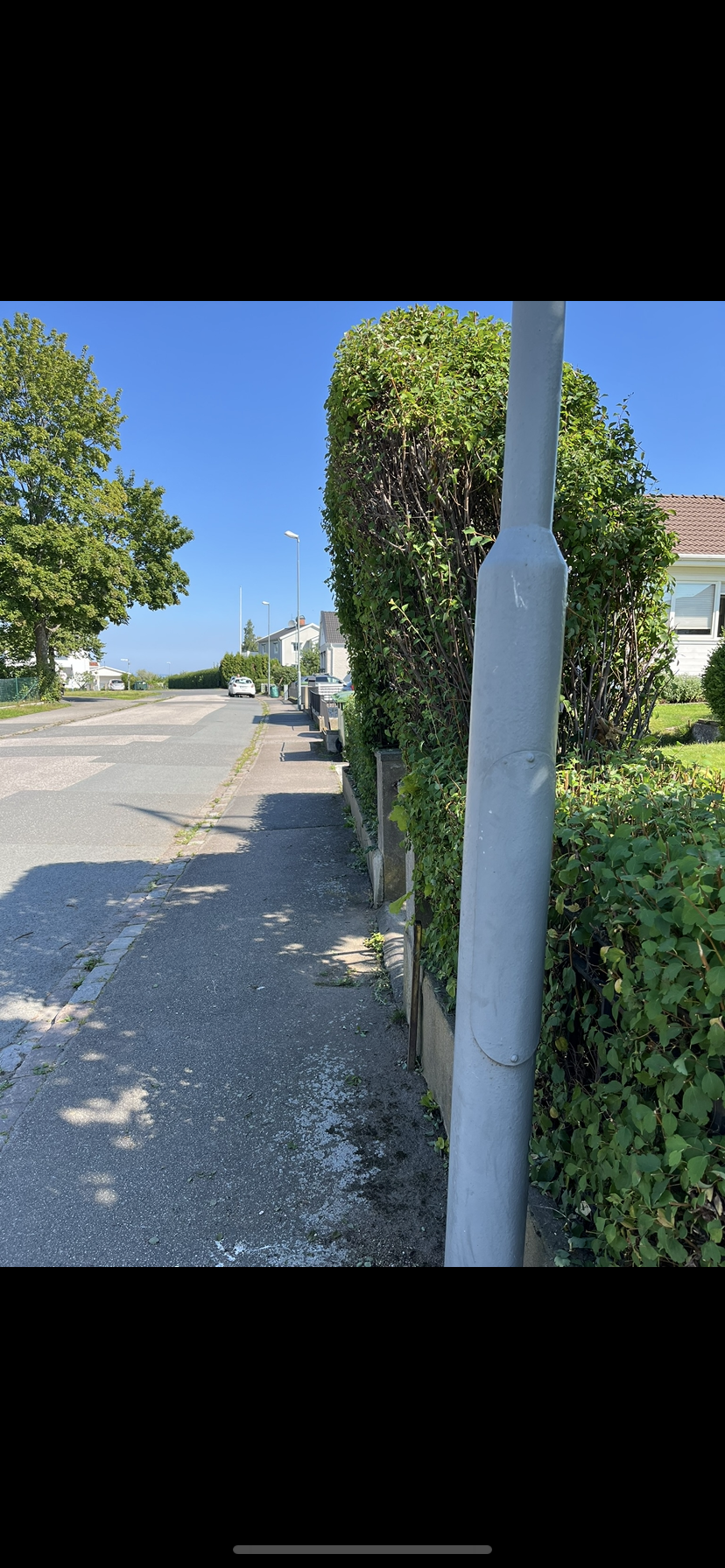 Häck